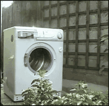 brick-washing-machine.gif