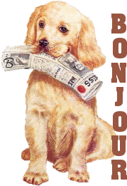 bonjourchien.gif