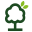 www.dplantes.com