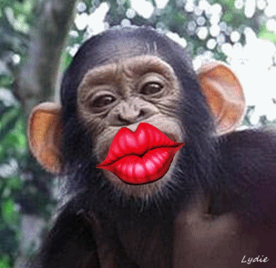 bisou-singe-petit.gif