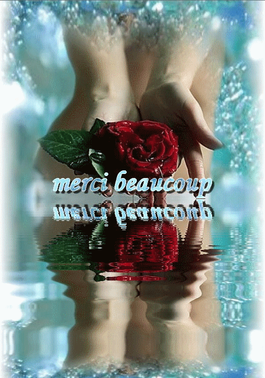 merci-beaucoupref...oooooooo-1f5bfe8.gif