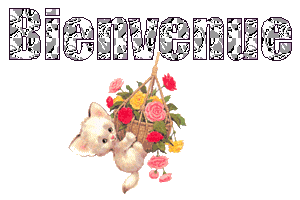 bienvenue-chat.gif