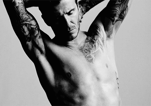 tumblr_m7g1u2syD71rb9x7no1_500.gif