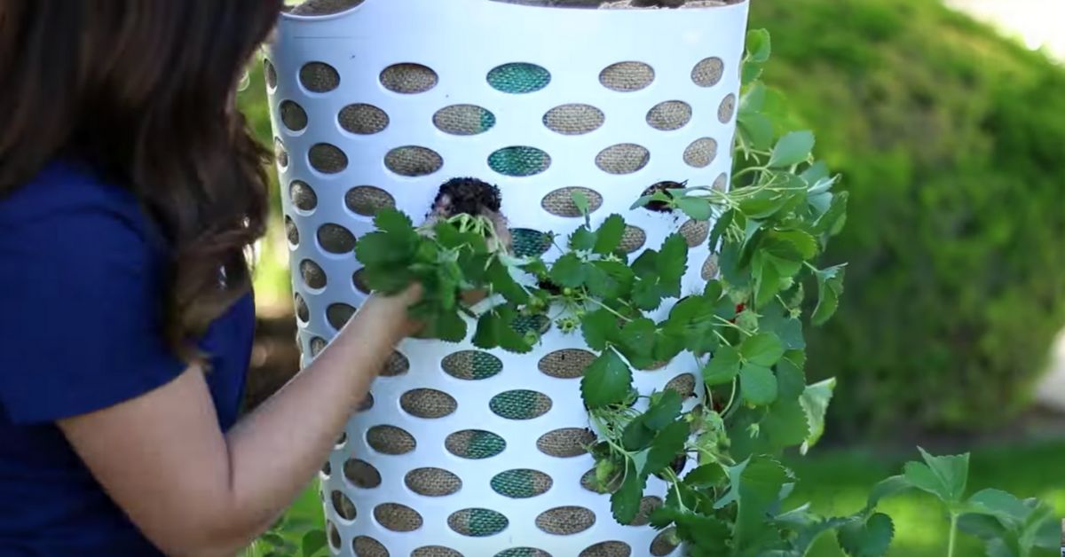 jardindegrandmere.com