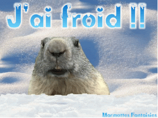 froid.gif
