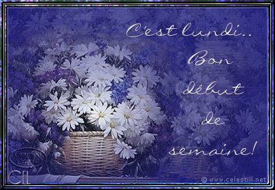 LUNDI-bon-debut-de-semaine.jpg