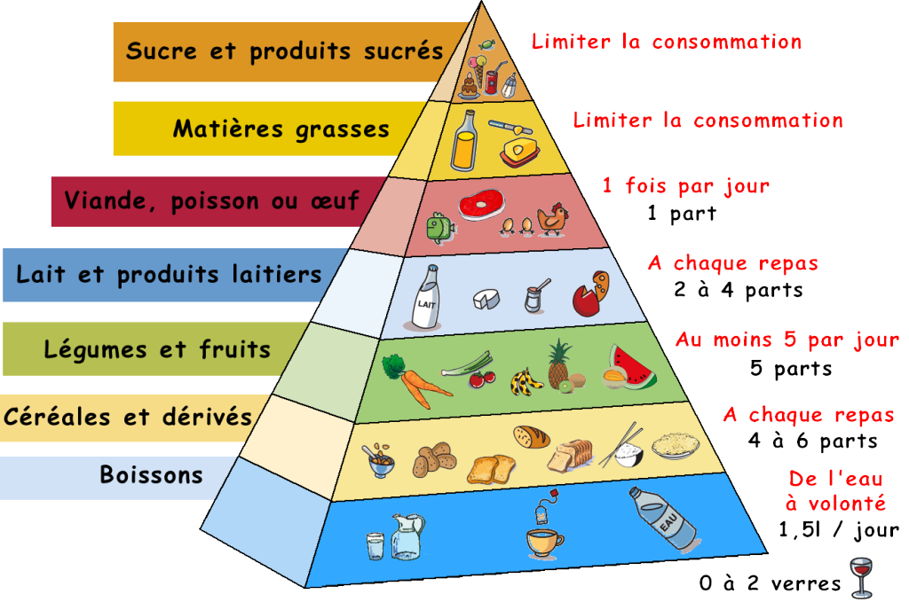 pyramide_alimentaire-1024x679.png