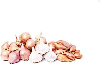 LE POTAGER DE MICKAEL : Panier de 2 kg de légumes condiments cultivés en Bretagne. Livraison 48h (jours ouvrés) LE POTAGER DE MICKAEL : Panier de 2 kg de légumes condiments cultivés en Bretagne. Livraison 48h (jours ouvrés)