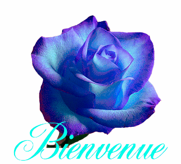 214603e8.gif