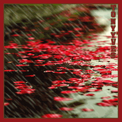 pluie-pluie.gif