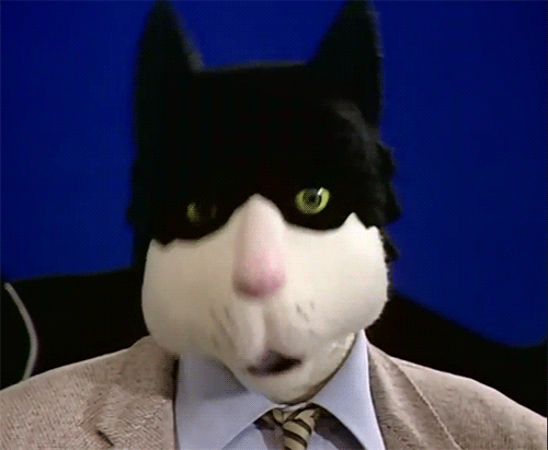 tumblr_pb643y7yKM1rpduwho1_500.gifv