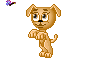 dog13.gif