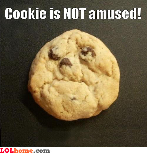 cookie-has-no-humour-sense.jpg