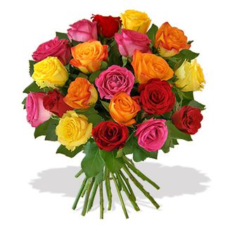 6a00d8345194ae69e201901c4fe3de970b-320wi