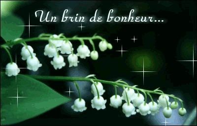 muguet-un-brin-de-bonheur.jpg