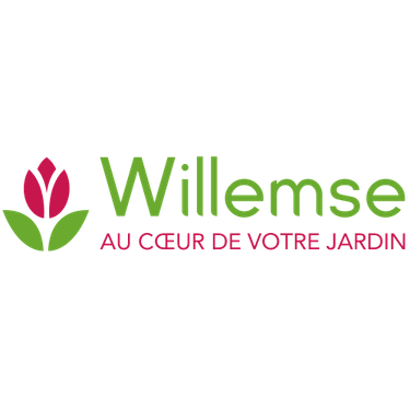 Willemse