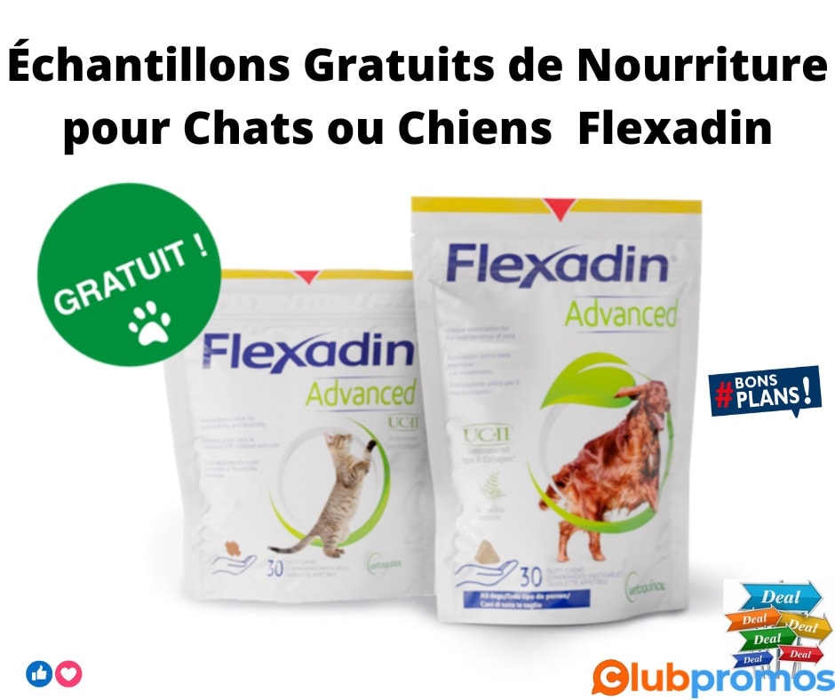 Échantillon GRATUIT de Friandises Flexadin pour Chiens et Chats : Faites Plaisir à Votre Compagnon à Quatre Pattes