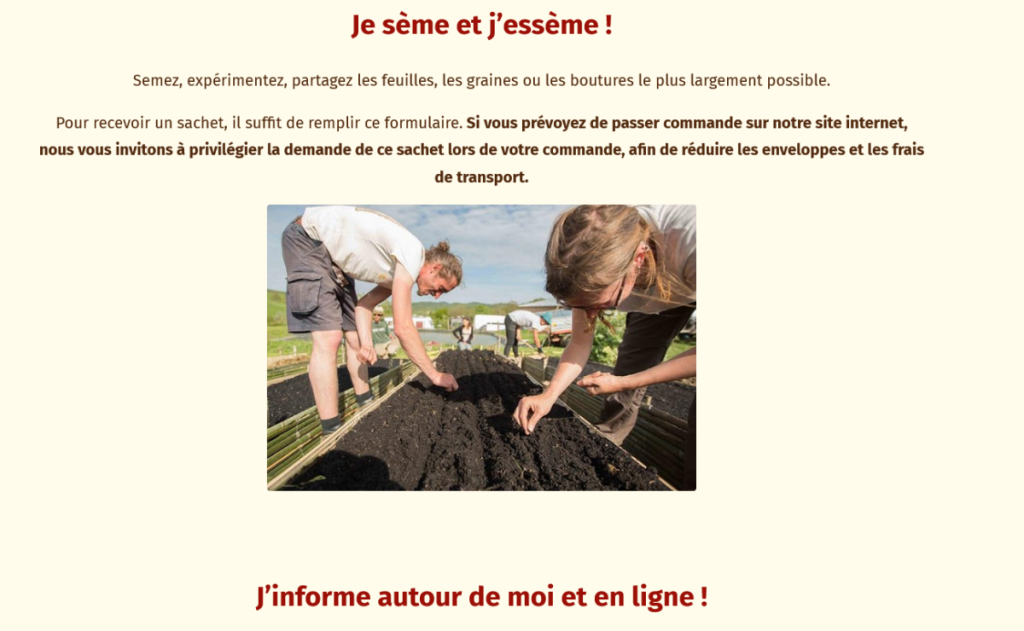 Offre Gratuite Semences Basilic Tulsi Tempéré Kokopell